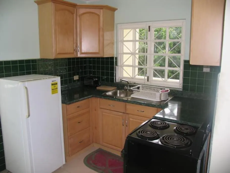 Apartman Stylish Studio Apt Ac, Balcony, Parking, Pool Ocho Rios
